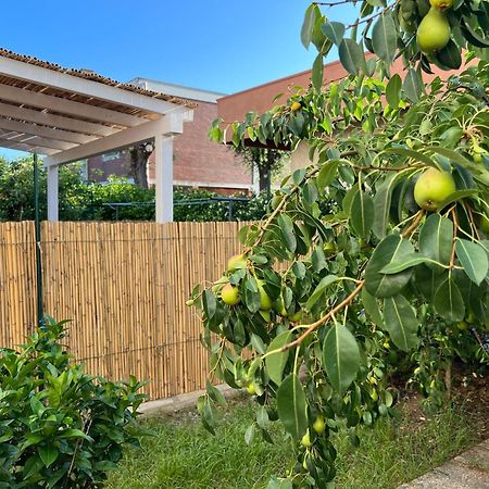 Apartmán Civiconove Piombino Exteriér fotografie