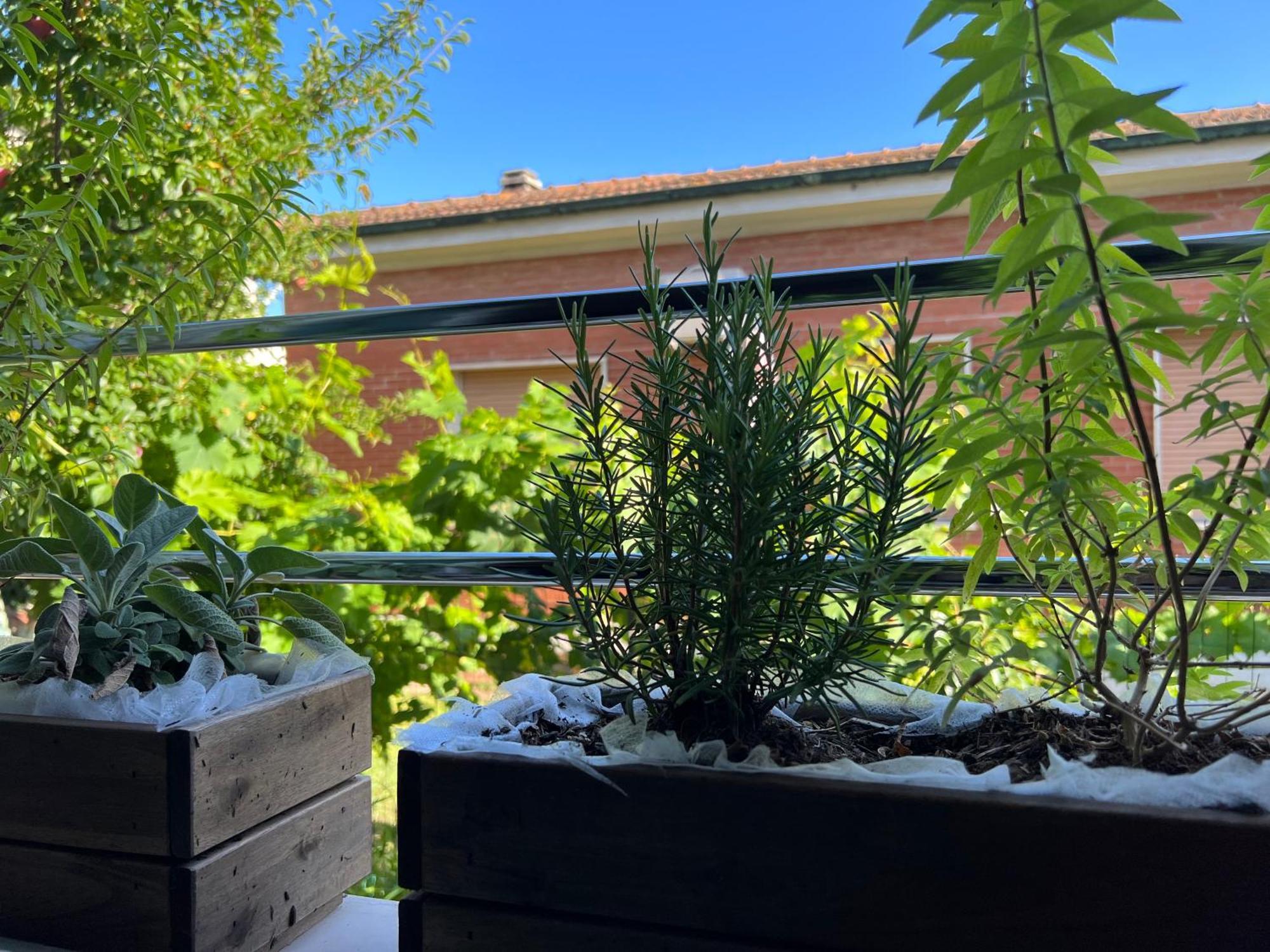 Apartmán Civiconove Piombino Exteriér fotografie