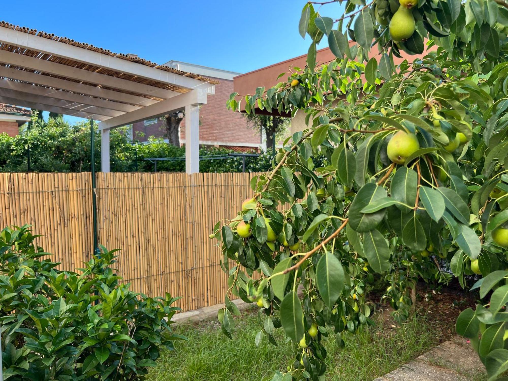 Apartmán Civiconove Piombino Exteriér fotografie